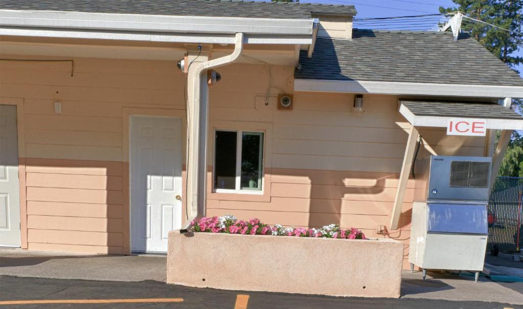 Shasta Pines Motel & Suites Burney Εξωτερικό φωτογραφία
