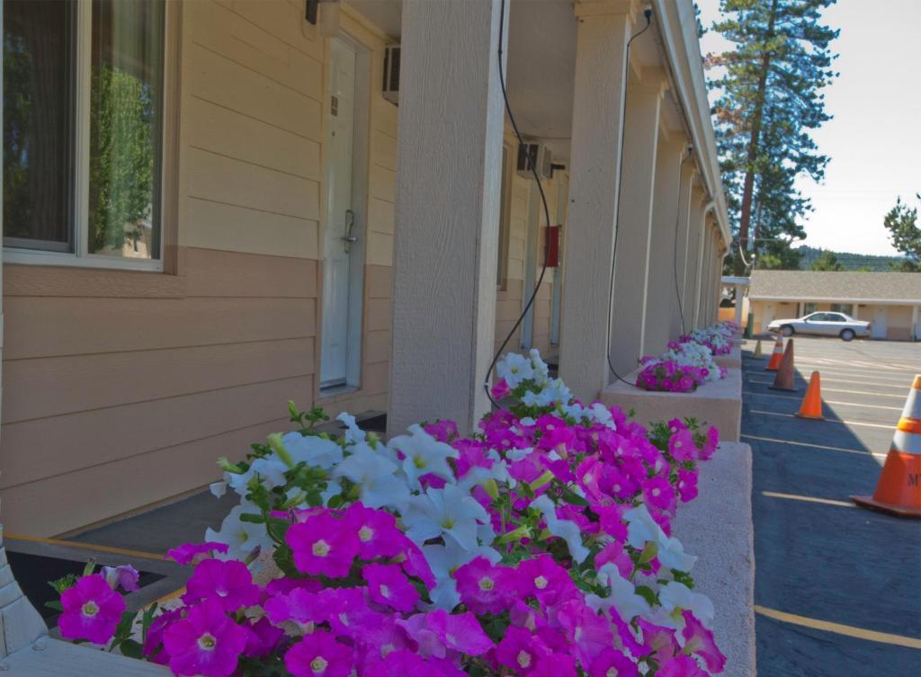 Shasta Pines Motel & Suites Burney Εξωτερικό φωτογραφία