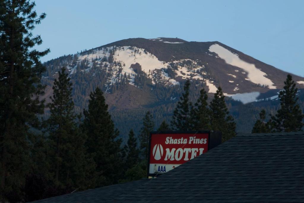 Shasta Pines Motel & Suites Burney Εξωτερικό φωτογραφία
